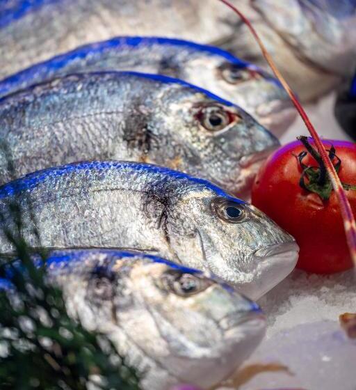 Отель İda Colors