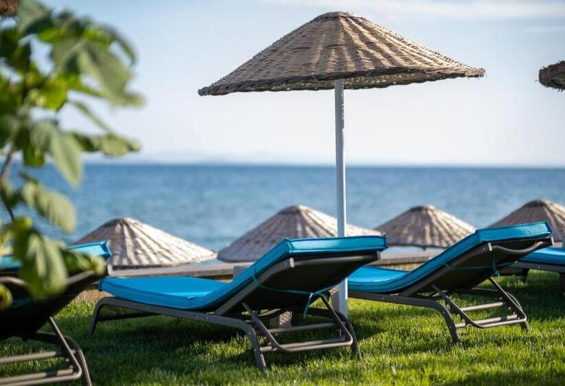 Отель İda Colors