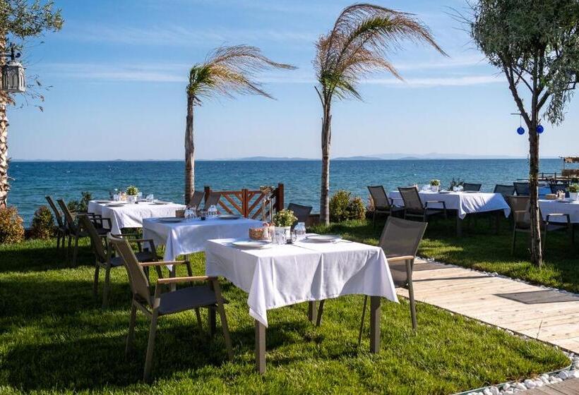 Отель İda Colors