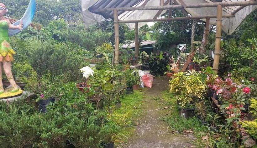 هتل Jardin Botanico Bellavista