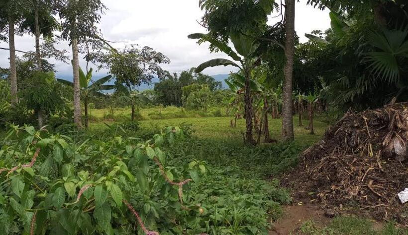 هتل Jardin Botanico Bellavista