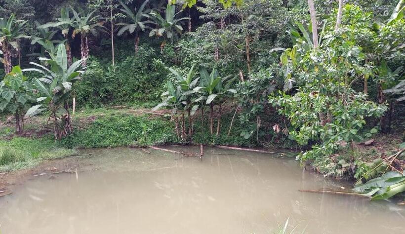 Отель Jardin Botanico Bellavista