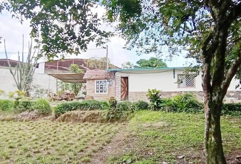 Отель Jardin Botanico Bellavista