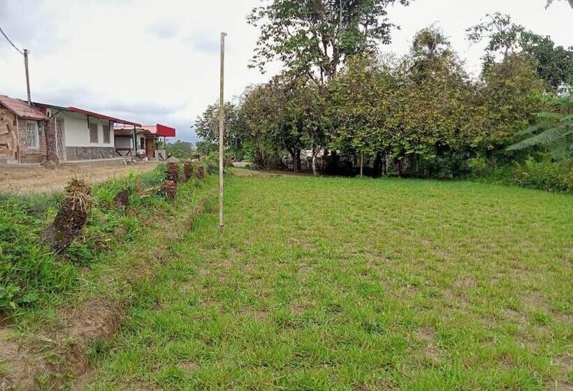 هتل Jardin Botanico Bellavista