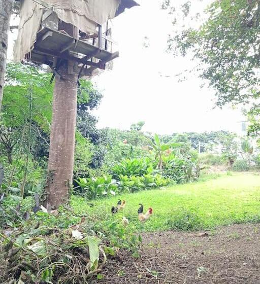 Отель Jardin Botanico Bellavista