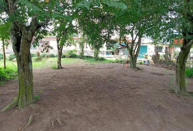 Отель Jardin Botanico Bellavista