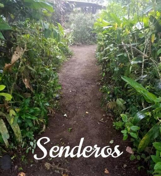 Отель Jardin Botanico Bellavista