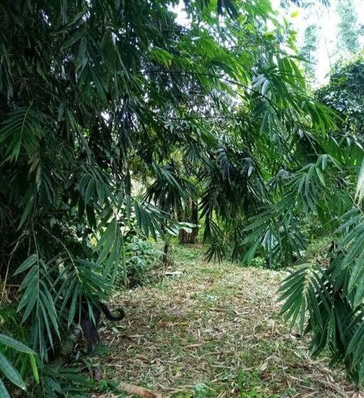 Отель Jardin Botanico Bellavista