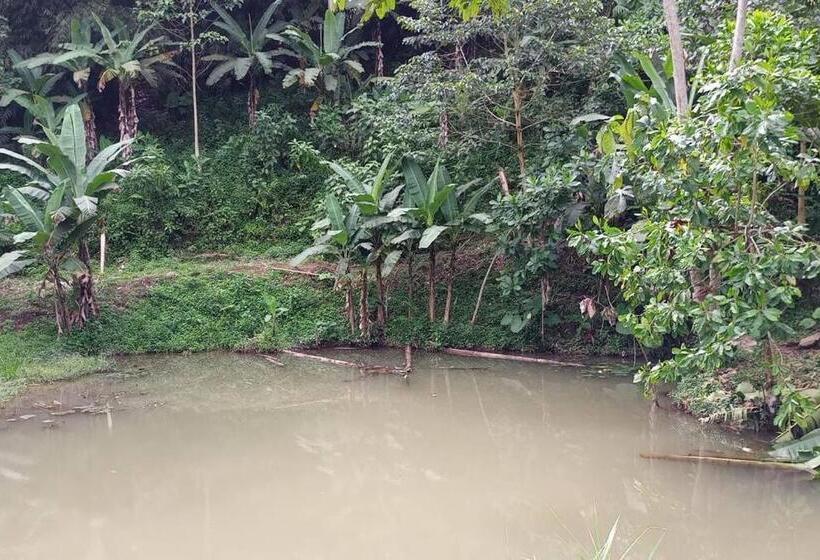 Отель Jardin Botanico Bellavista