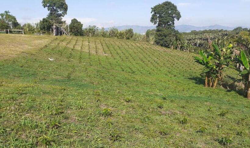 هتل Puerta Del Cafe