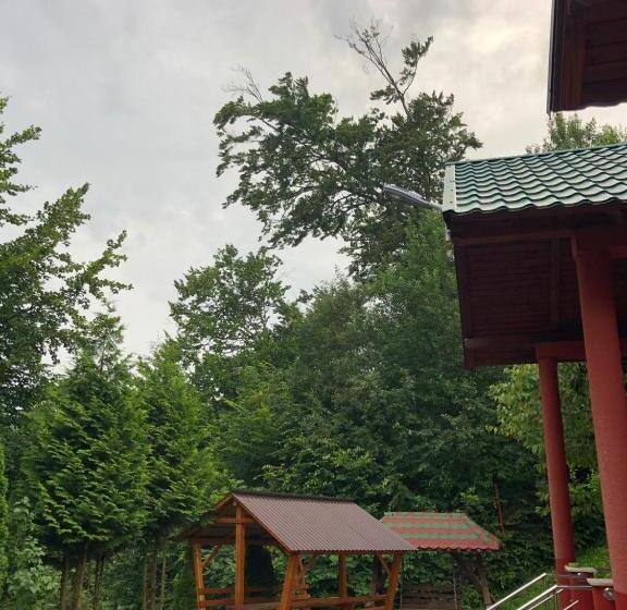 فندق /restaurant Dealu Hera