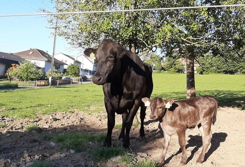 ホテル Uelis Stöckli Gästezimmer Auf Belebtem Bauernhof Mit Hotpot Und Alpakatrekking