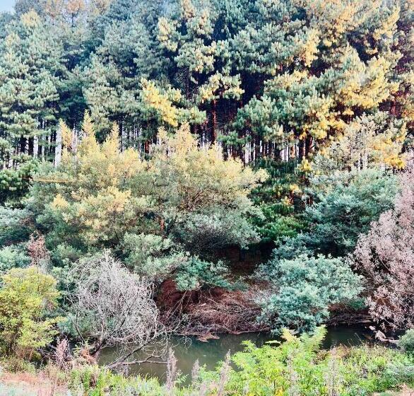 בית מלון כפרי Zwakala River Retreat