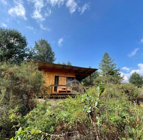 בית מלון כפרי Zwakala River Retreat