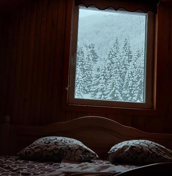 펜션 садиба квітка карпат