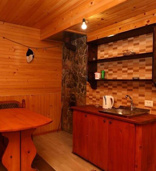 펜션 котедж у карпатах