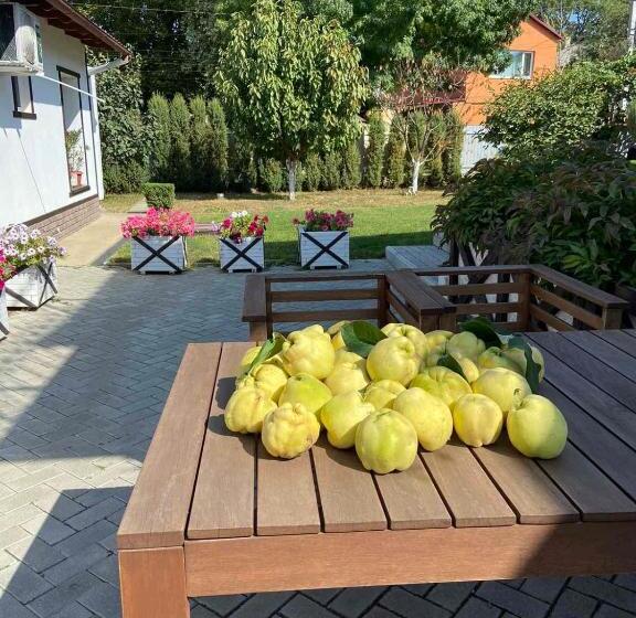 Пансион экодом