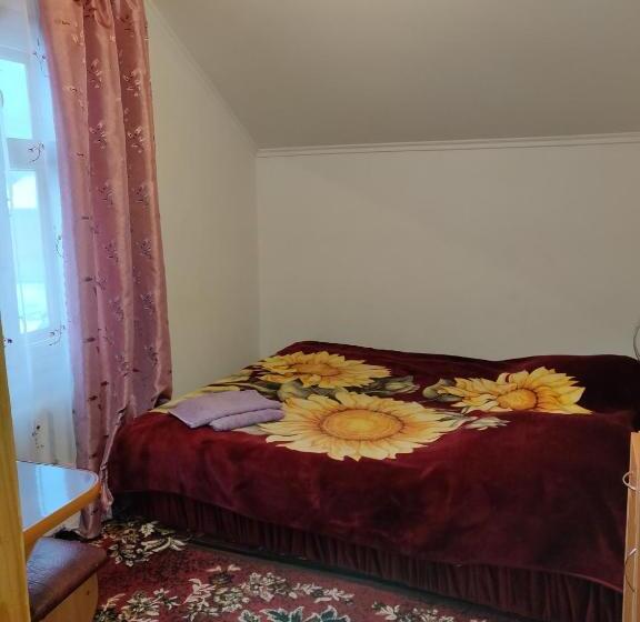 پانسیون зима літо