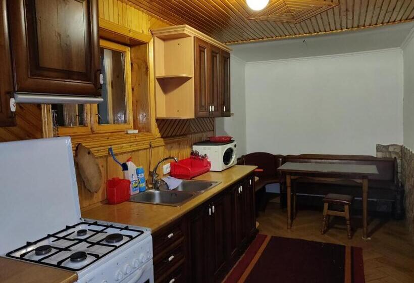 پانسیون зима літо