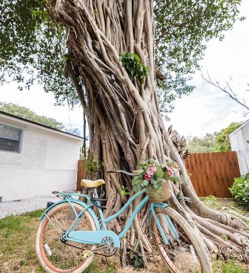 膳宿费 Blue Door   Miami Studio