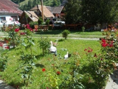 بنسيون Casa Maria Moieciu C