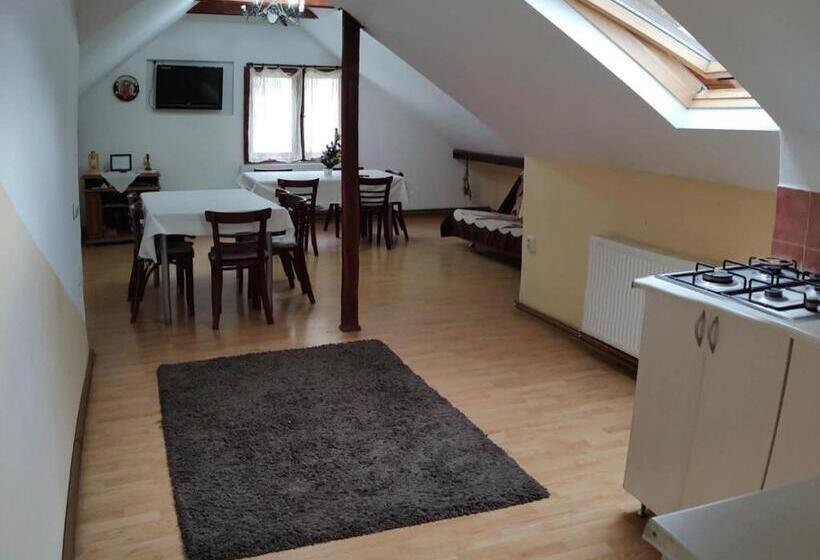 Пансион Casa Maria Moieciu C