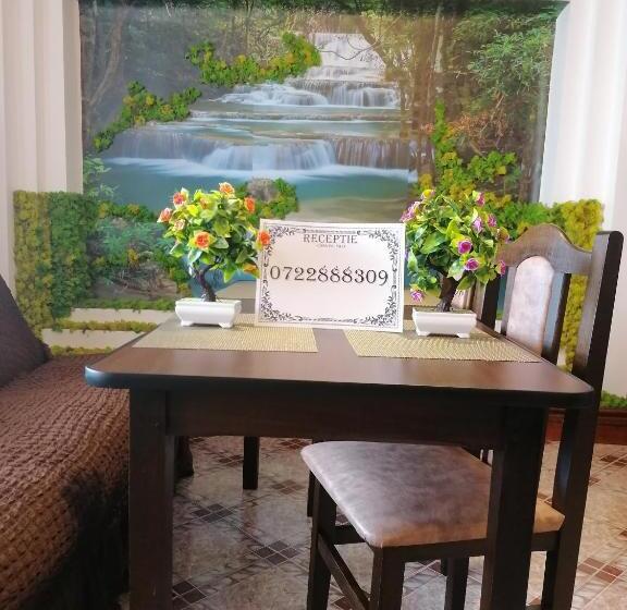 פנסיון Casa Poenaru