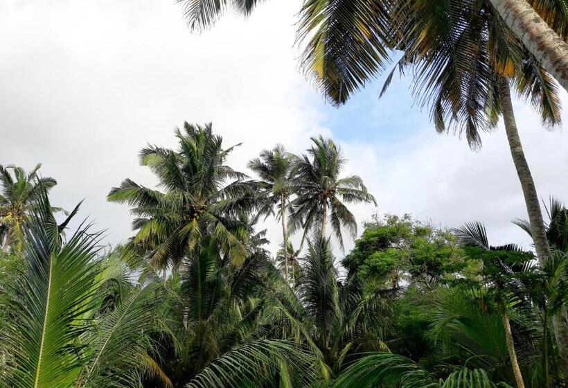 بنسيون Chao Beach Villa