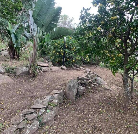 ペンション Instincts