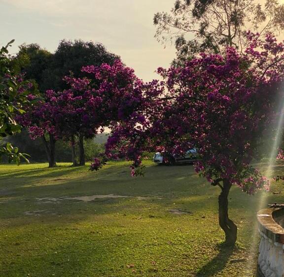 פנסיון Lake View Inn Suite Piscina