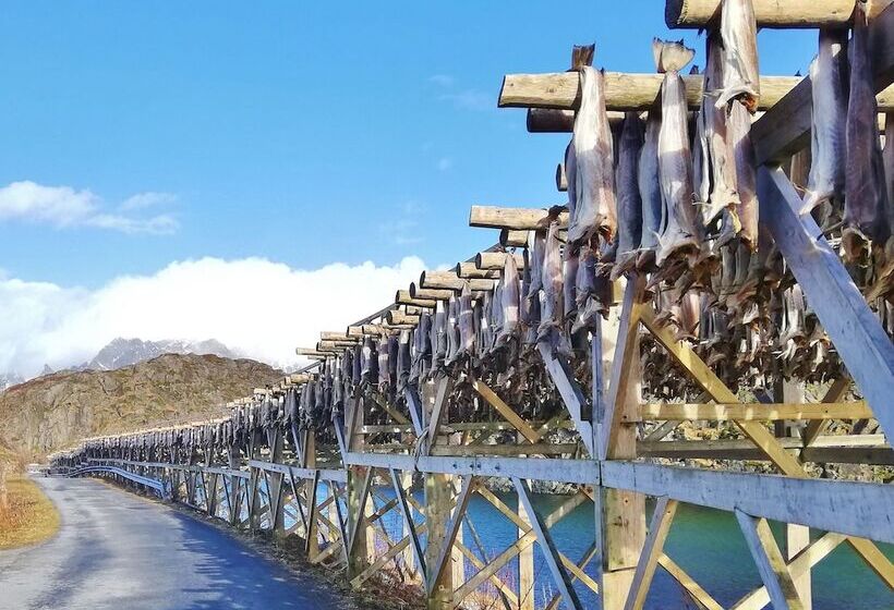 膳宿费 Nøtnes Midnattsol Guesthouse