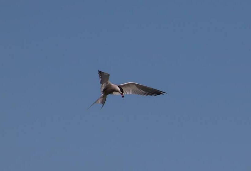 Пансион Nøtnes Midnattsol Guesthouse