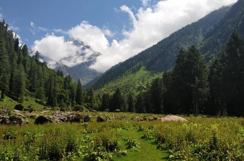 بنسيون Olive Garden Classic