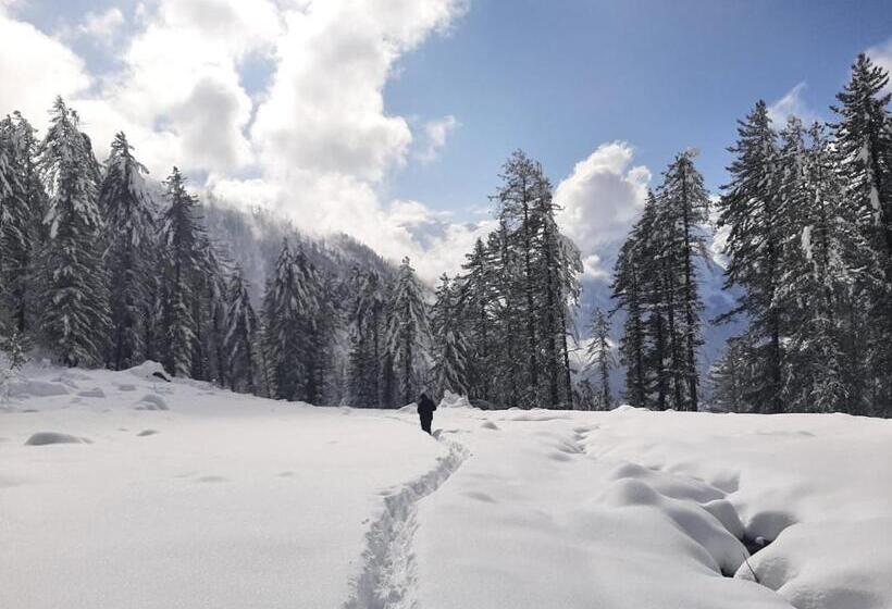 펜션 Olive Garden Classic