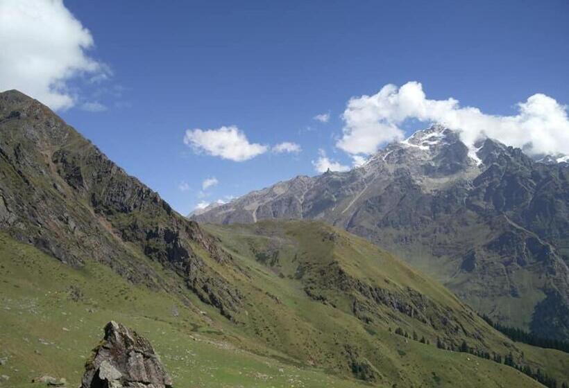 بنسيون Olive Garden Classic