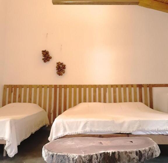 פנסיון Origens Do Caparaó