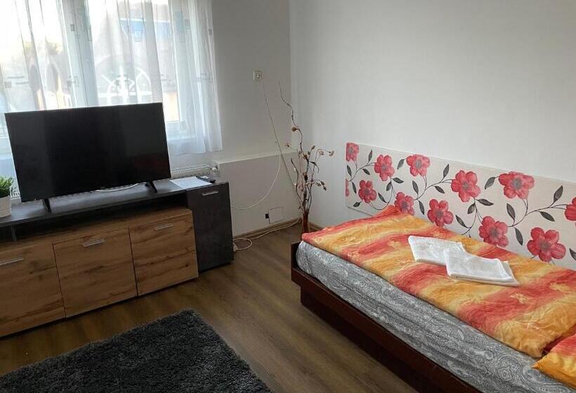 بنسيون Patak Pihenő