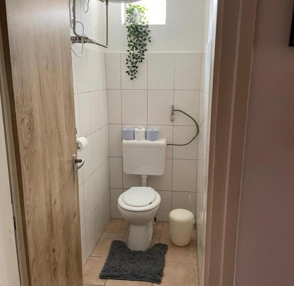 بنسيون Patak Pihenő