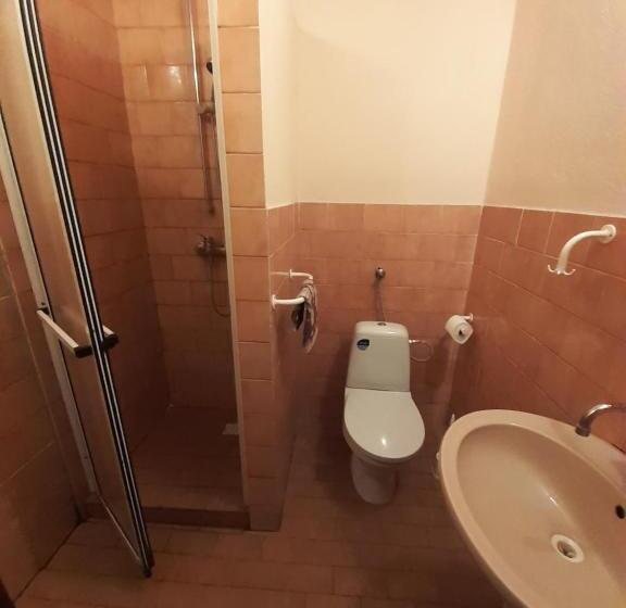 膳宿费 Penzion U Dubu