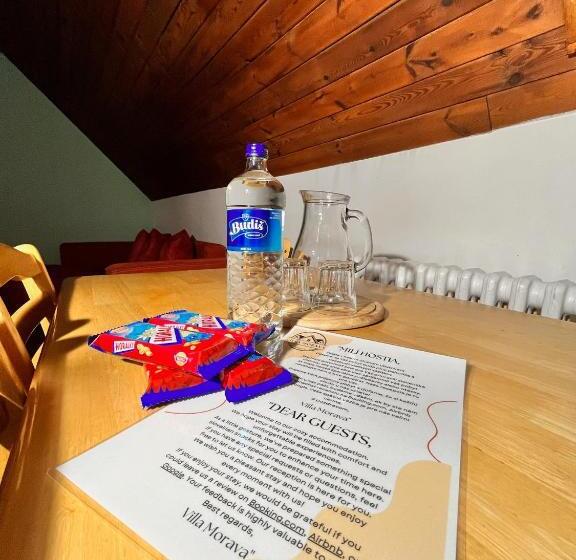 Пансион Vila Morava