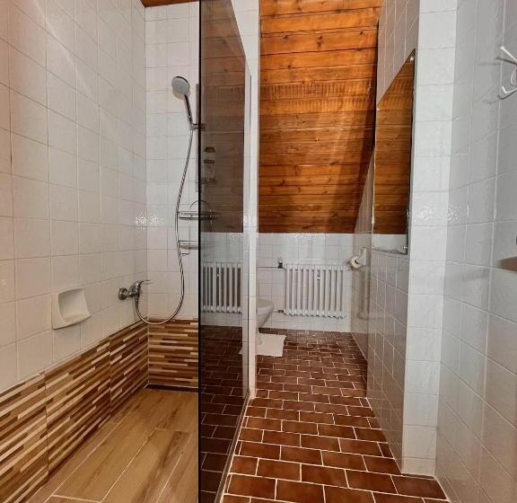 Пансион Vila Morava