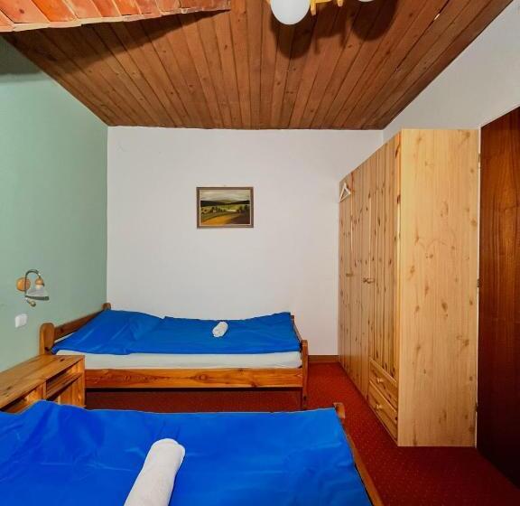 Пансион Vila Morava