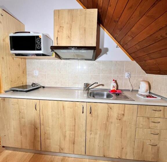 Пансион Vila Morava