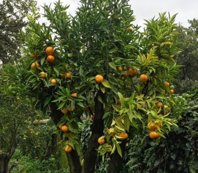 ペンション Villa San Redina B&b