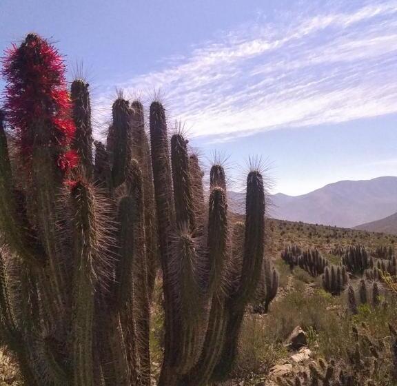 Refugio Del Archipielago D3