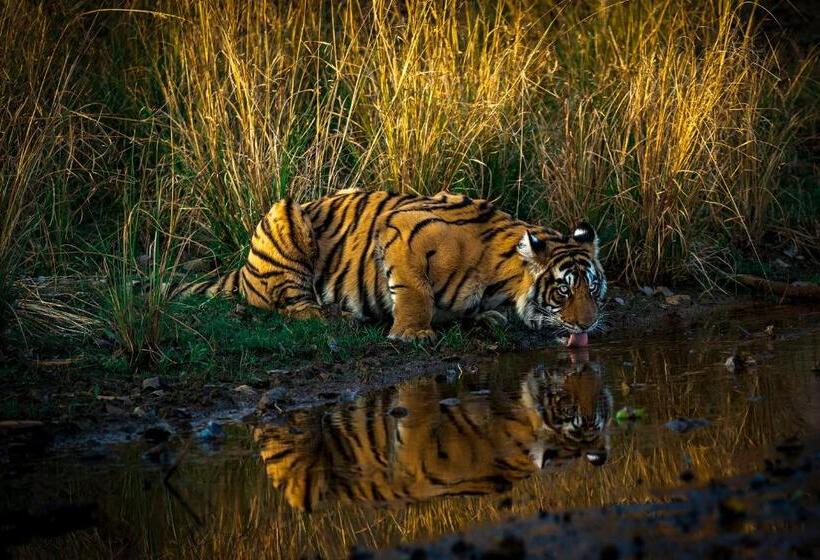 منتجع Bagh Serai   Rustic Cottage With Private Pool