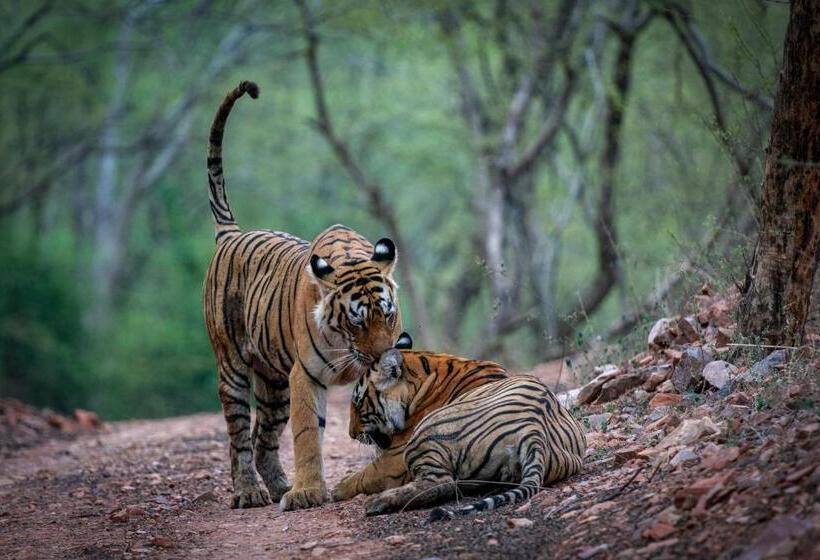 منتجع Bagh Serai   Rustic Cottage With Private Pool