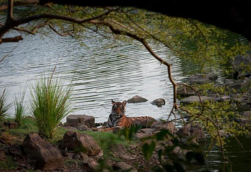 منتجع Bagh Serai   Rustic Cottage With Private Pool