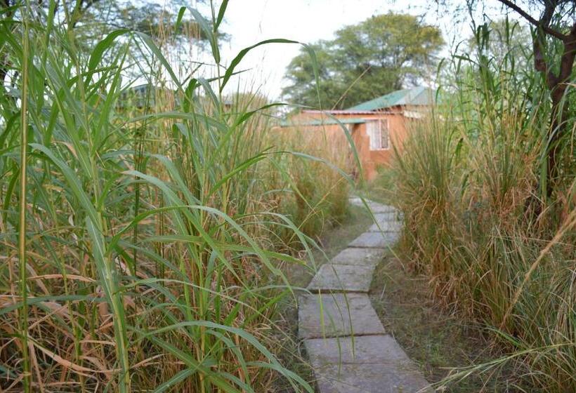 منتجع Bagh Serai   Rustic Cottage With Private Pool