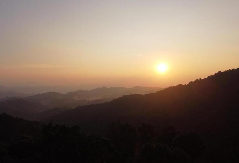 900 Woods Wayanad Eco Resort   A Sprawling Jungle Stay Near Glass Bridge